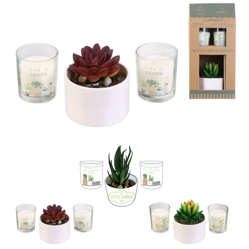 COFFRET BOUGIE X2 ET PLANTE ARTIFICIELLE A2/M12