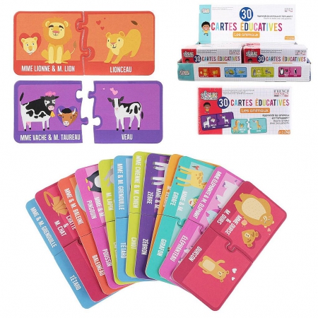 CARTE EDUCATIVE