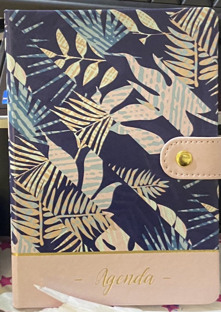 AGENDA PERPETUEL