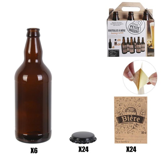 SET DE 6 BOUTEILLES DE BIERE