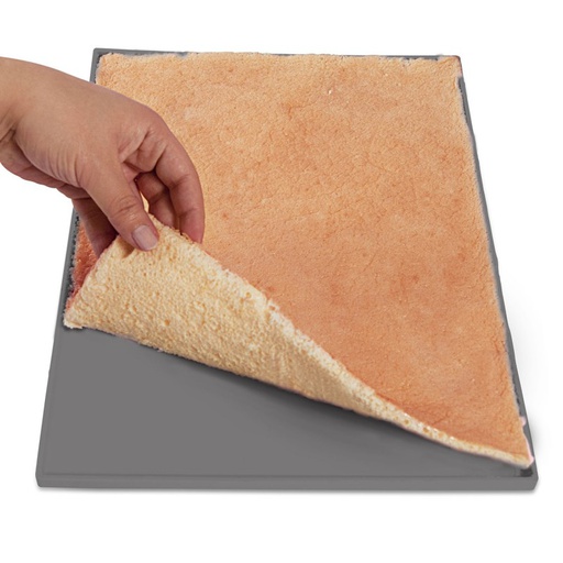 PLAQUE A GENOISE